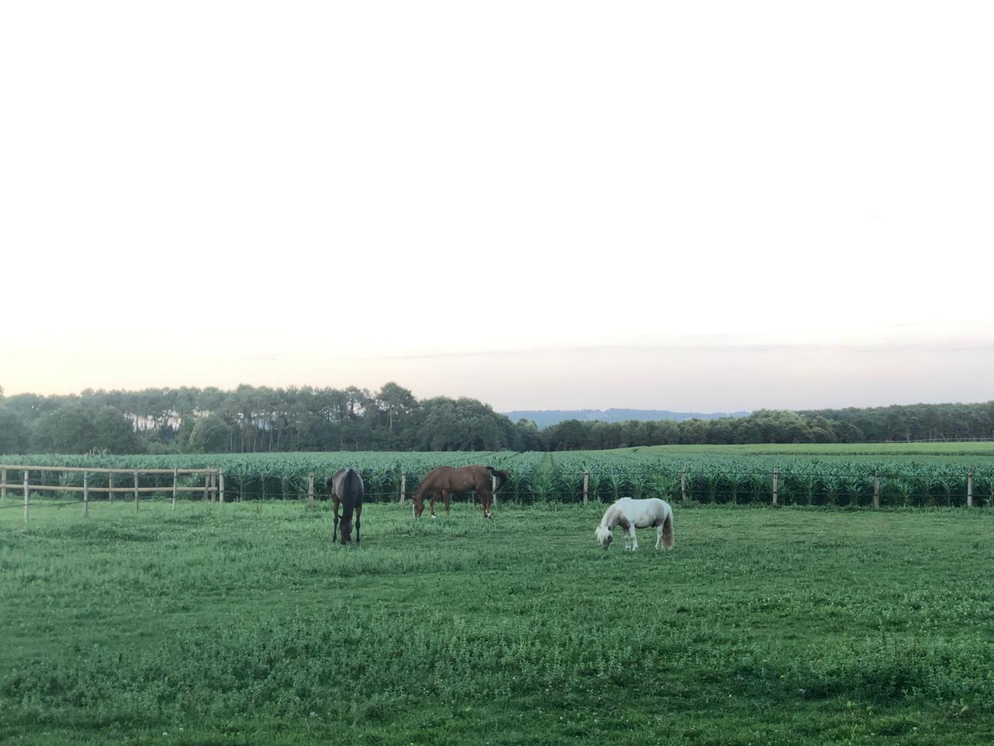 Le Ranch Kabahina Golf Hotel Saint Geours de Maremne Bagian luar foto