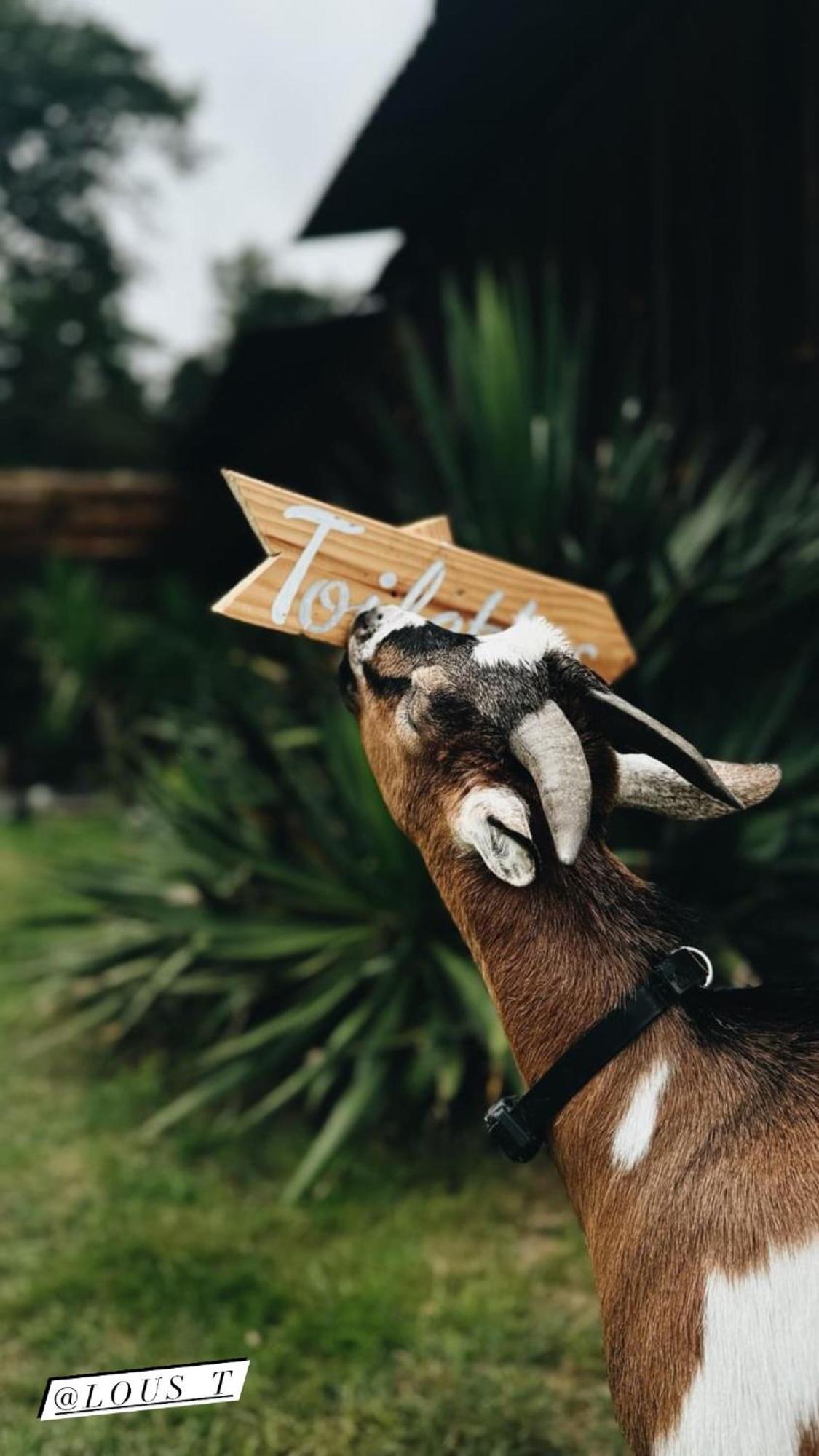 Le Ranch Kabahina Golf Hotel Saint Geours de Maremne Bagian luar foto